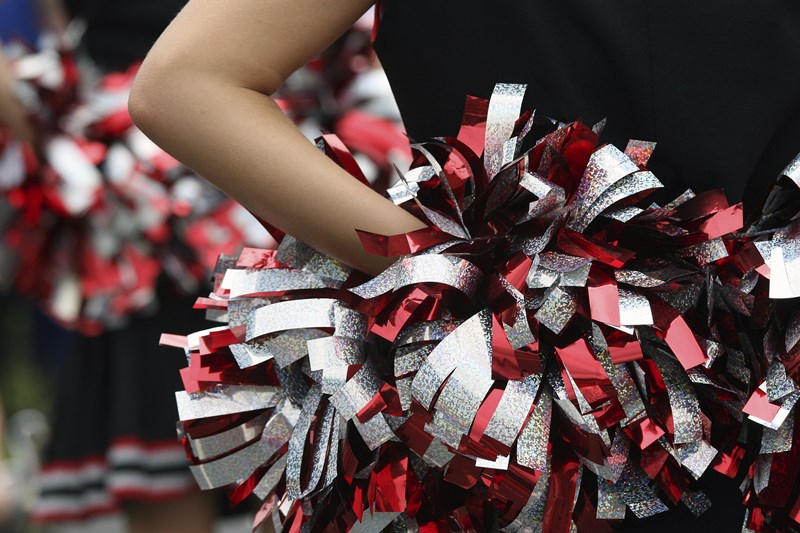 Poms