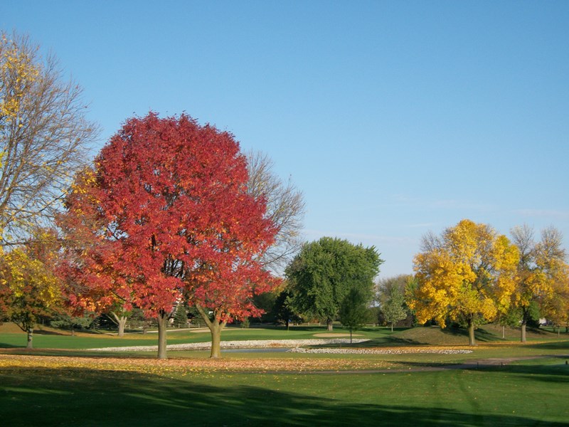 Fall_colors_1-2