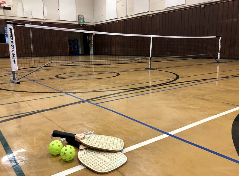 Generic_Pickleball