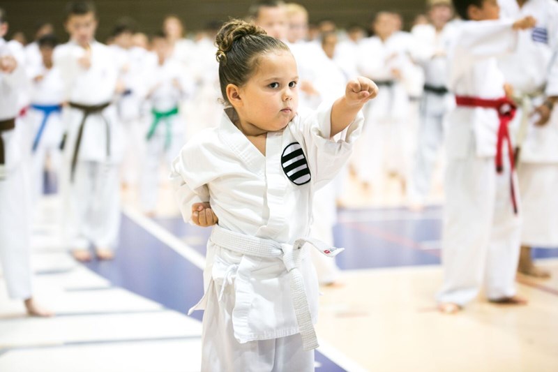 Shotokan_Photo_1